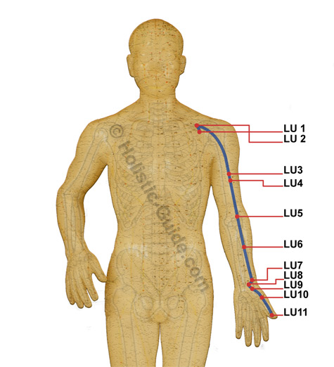 Lung Channel